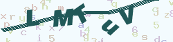 verify_code